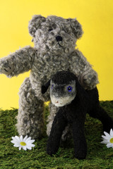 Teddybär mit schwarzem Schaf