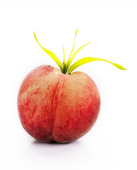 frutta estiva su fondo bianco