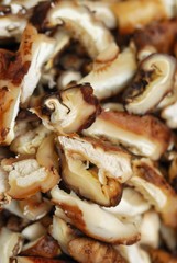 Freshly cut mushrooms