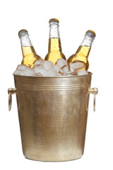 Bottles of beer are in ice bucket