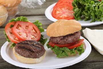 Grilled Hamburger Picnic