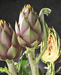 an artichoke cut in two and two full