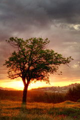 Fototapeta na wymiar Sunset in Bulgaria Mountains