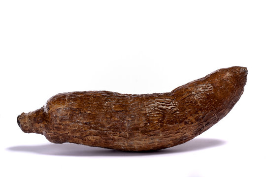 cassava root