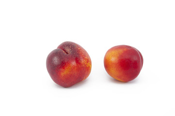 Fruits