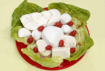 mozzarelle miste