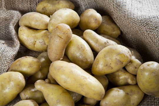 pommes de terre rattes