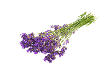 Bouquet Lavender