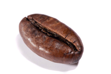 roasted bean of coffee