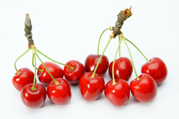 Garten-Süßkirschen