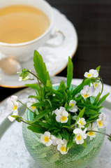 Сup of tea and a bouquet of wild violets on a dark background.