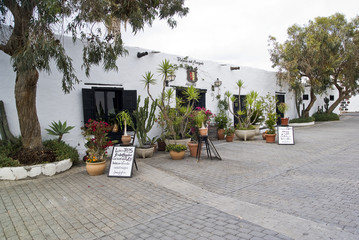 Bodega in Teguise