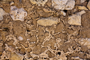 worn textured cement wall