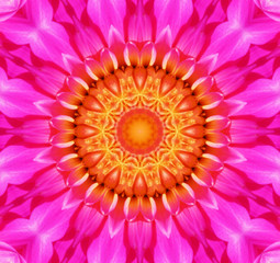 Obraz premium Flower Kaleidoscopic Background