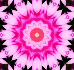 Flower Kaleidoscopic Background
