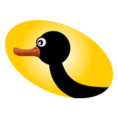 Perfil pato