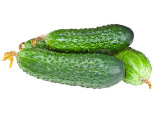 Fresh cucumbers