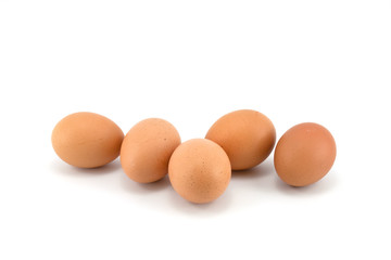 egg