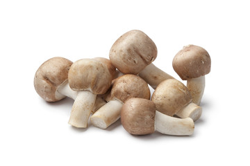Fresh  Almond mushrooms