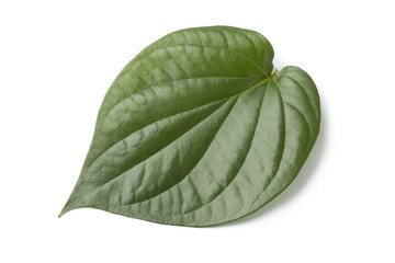 Piper betle leaf
