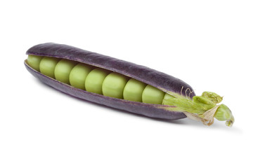 Fresh peas in purple pod