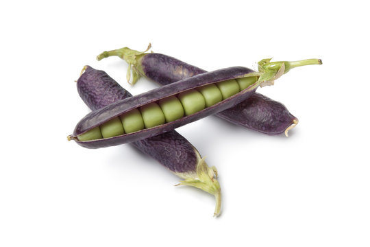 Fresh peas in purple pod