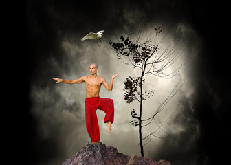 Obrazy na Szkle  Tło sztuk walki Kung Fu