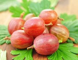 Stachelbeeren