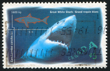 Naklejka premium postage stamp