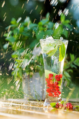 Splashing water with red currant