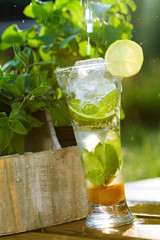 mojito