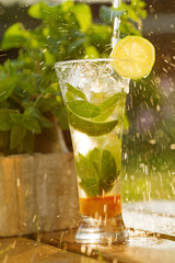 Fresh cocktail with mint and lemon