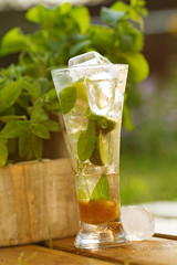 Fresh cocktail with mint and lemon