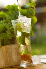 Fresh cocktail with mint and lemon