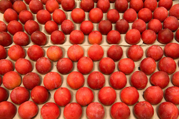 Plums