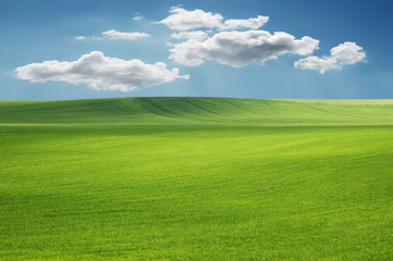 Background of sky and grass