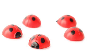 five red small ladybugs isolated on white