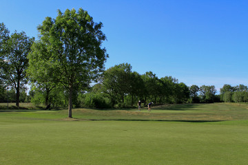 Friday Afternoon on the Golf Course