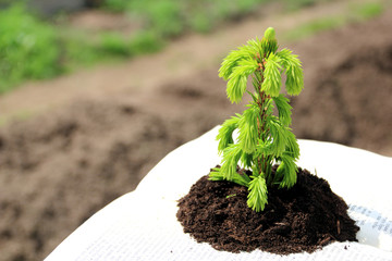 germs of the knowledge