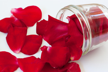 Fototapeta na wymiar rosenblüten im glas