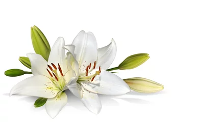Glasschilderij Lelie Pasen lelie bloemen op witte achtergrond