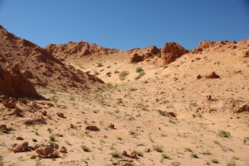 Paysage, Mongolie