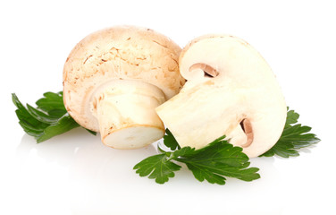 mushrooms isolated on white