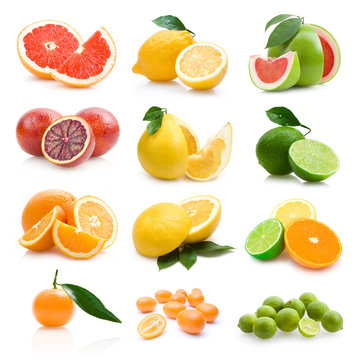 set of 12 different citruses