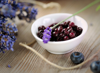 waldheidelbeeren