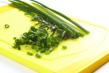 Frische Kräuter auf gelbem Brett / Fresh herbs on yellow board