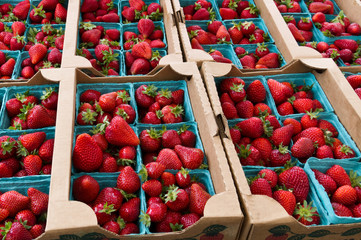 Strawberries in baskets on display