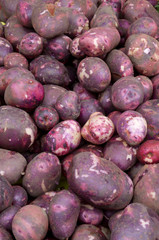 Red potatoes on display