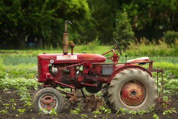 Naklejka premium old tractor