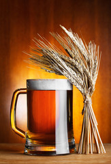 mug of beer and wheat